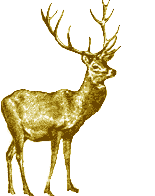 ARMORIAL  du PERIGORD